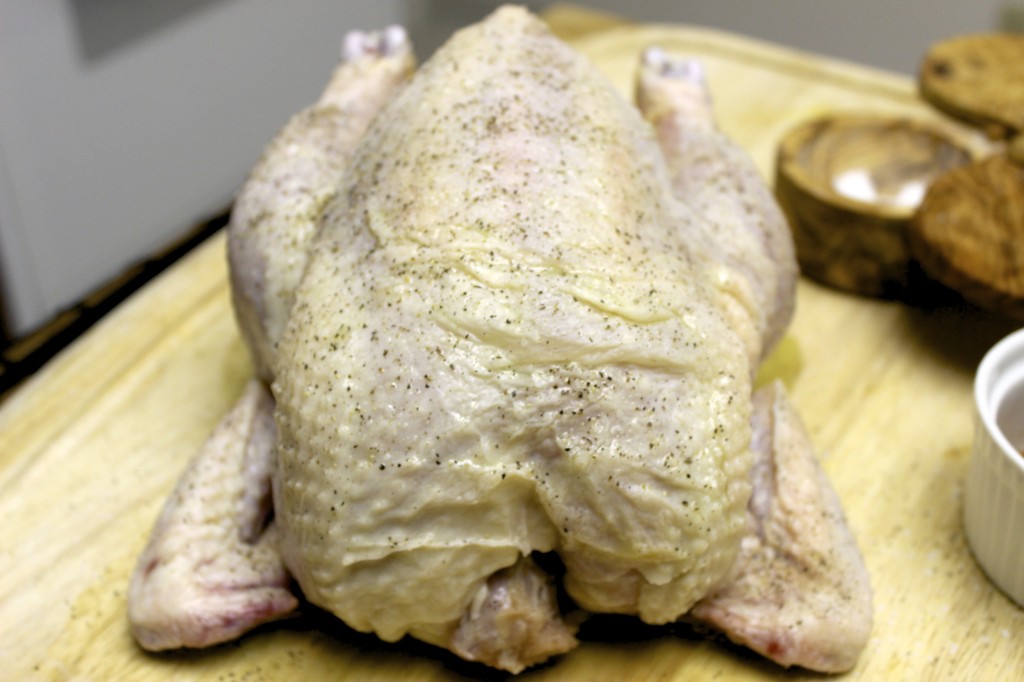 moroccan roast chicken 16