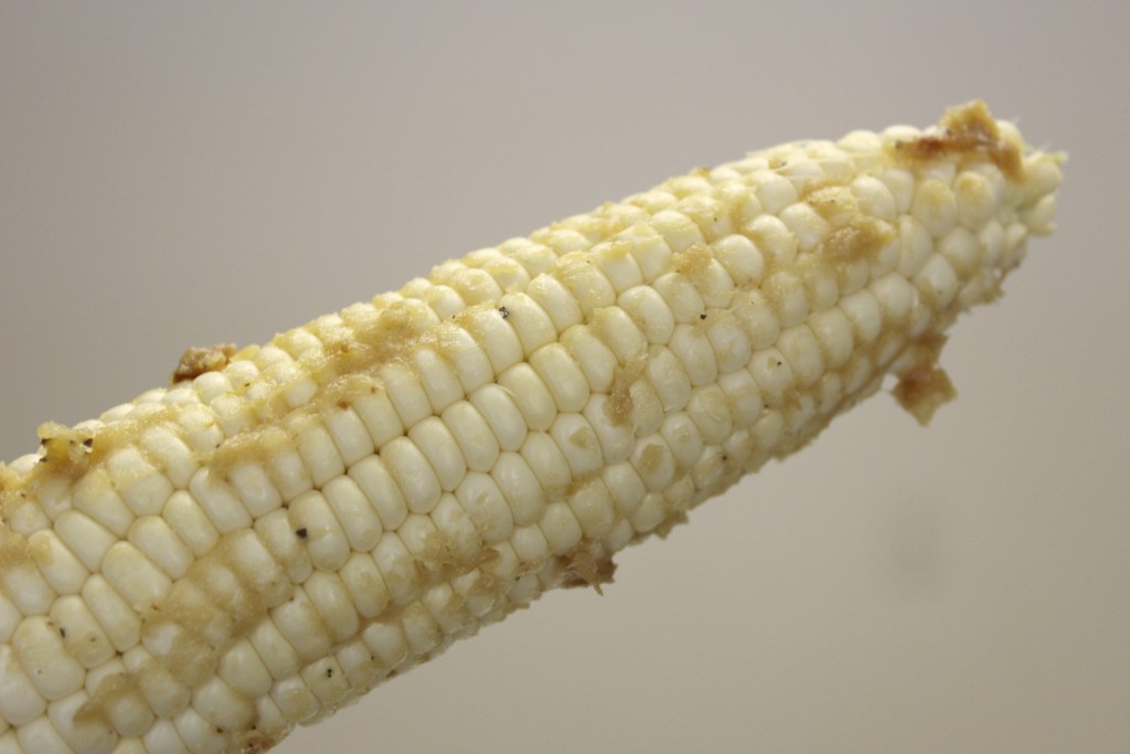 Grilled Corn 35